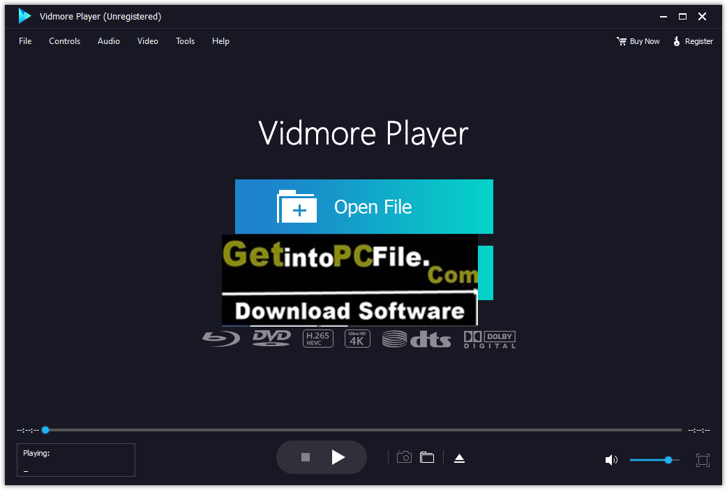 Vidmore Player download