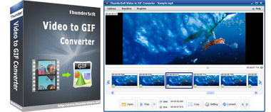 ThunderSoft GIF to Video Converter 3.1 Free Download 1 box screen