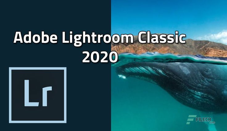 Adobe Photoshop Lightroom Classic CC 2020 1