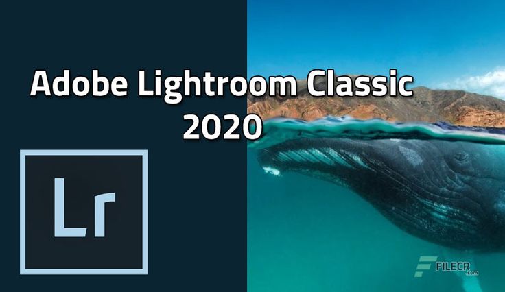 Adobe Photoshop Lightroom Classic CC 2020 Free Download 1 Adobe Photoshop Lightroom Classic CC 2020 1