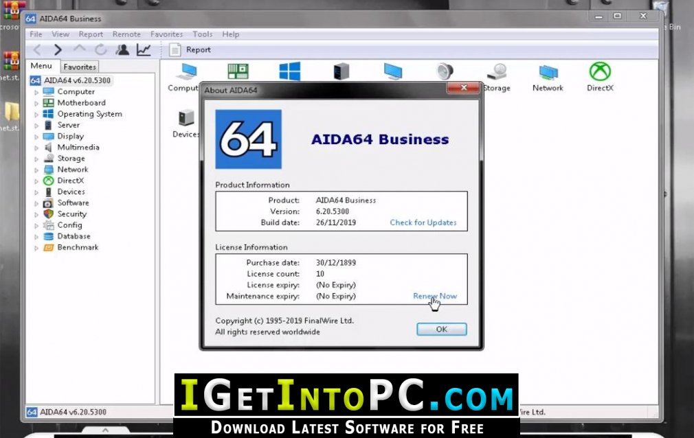 AIDA64 Business 6.25.54 Free Download 3