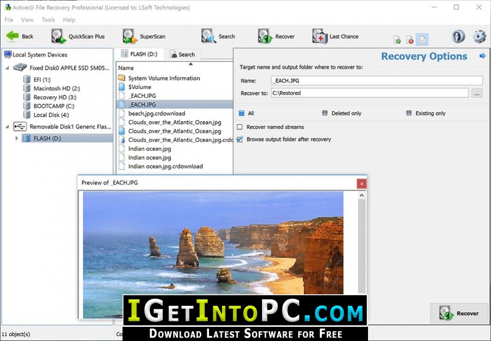 Active File Recovery Pro 20 Free Download 4