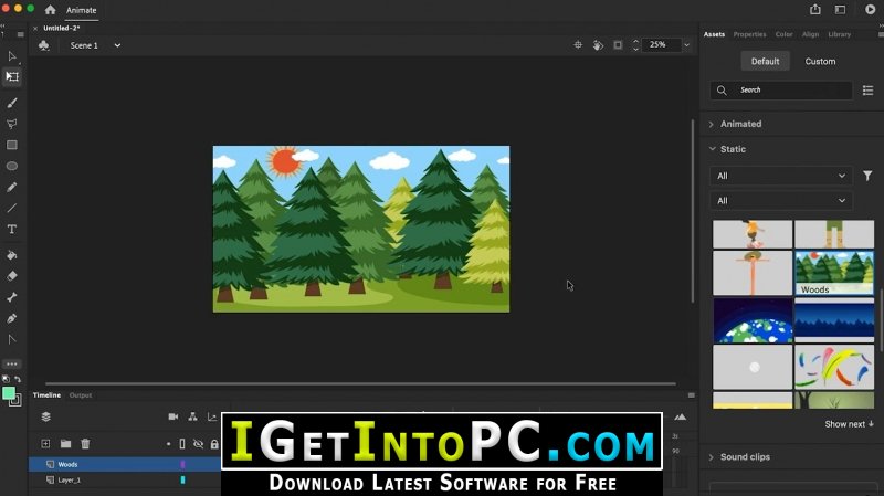 Adobe Animate 2021 Free Download macOS 2