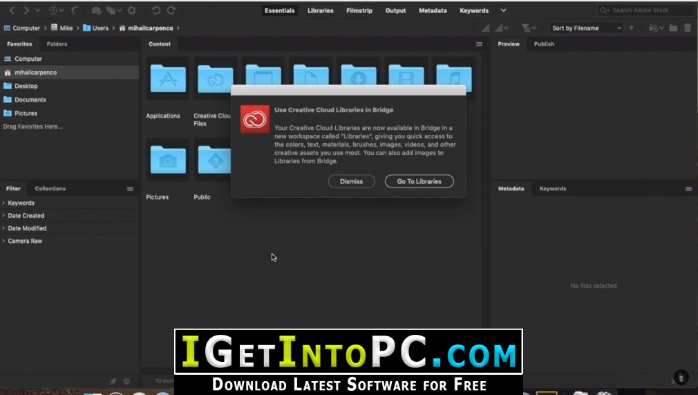Adobe Bridge CC 2020 10.0.1.126 Free Download macOS 4