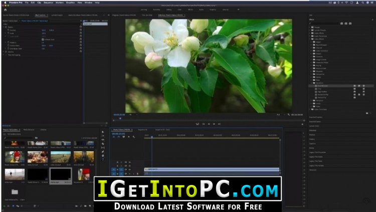 Adobe Premiere Pro 2020 14.3.2 Free Download macOS 3