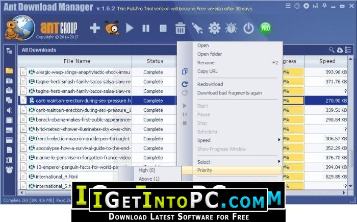 Ant Download Manager Pro 1.16.1 Build 66021 Free Download 4