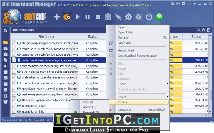 Ant Download Manager Pro Free Download 2