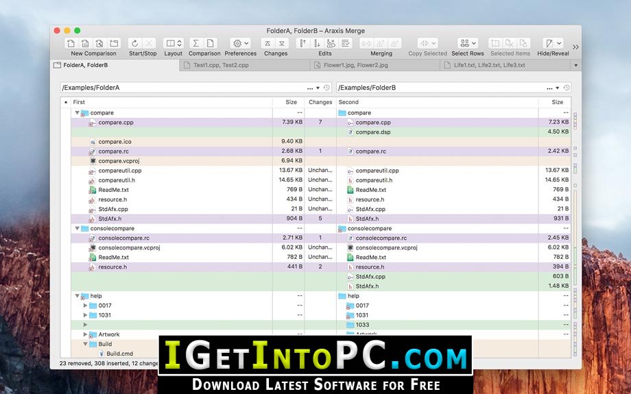Araxis Merge Professional 2020 Free Download 3