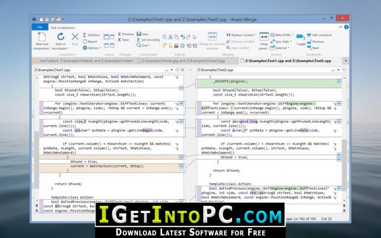 Araxis Merge Professional 2020.5368 Free Download 4