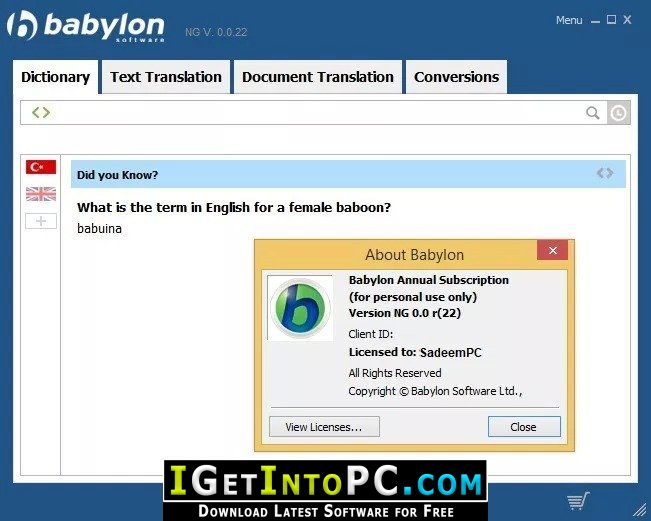 Babylon Pro NG 11.0.1.2 Free Download 3
