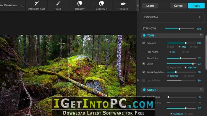 Corel PaintShop Pro 2019 Ultimate 21.0.0.119 Free Download 3