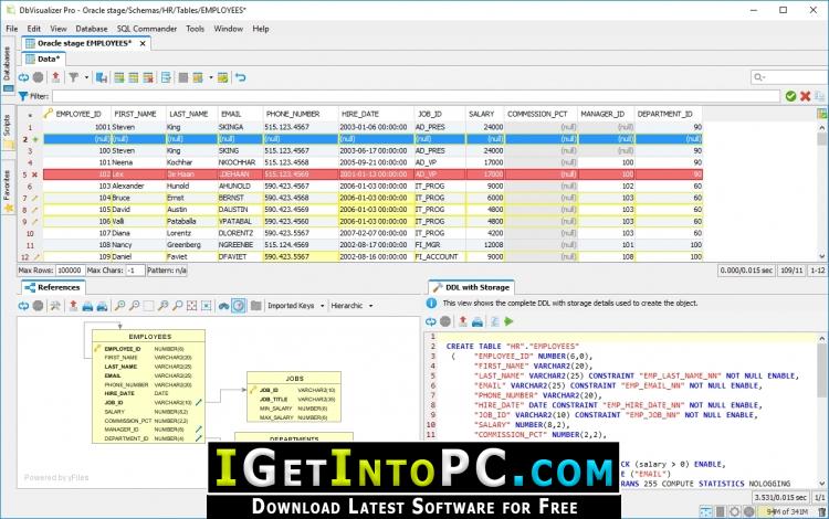 DbVisualizer Pro 10 Free Download 4
