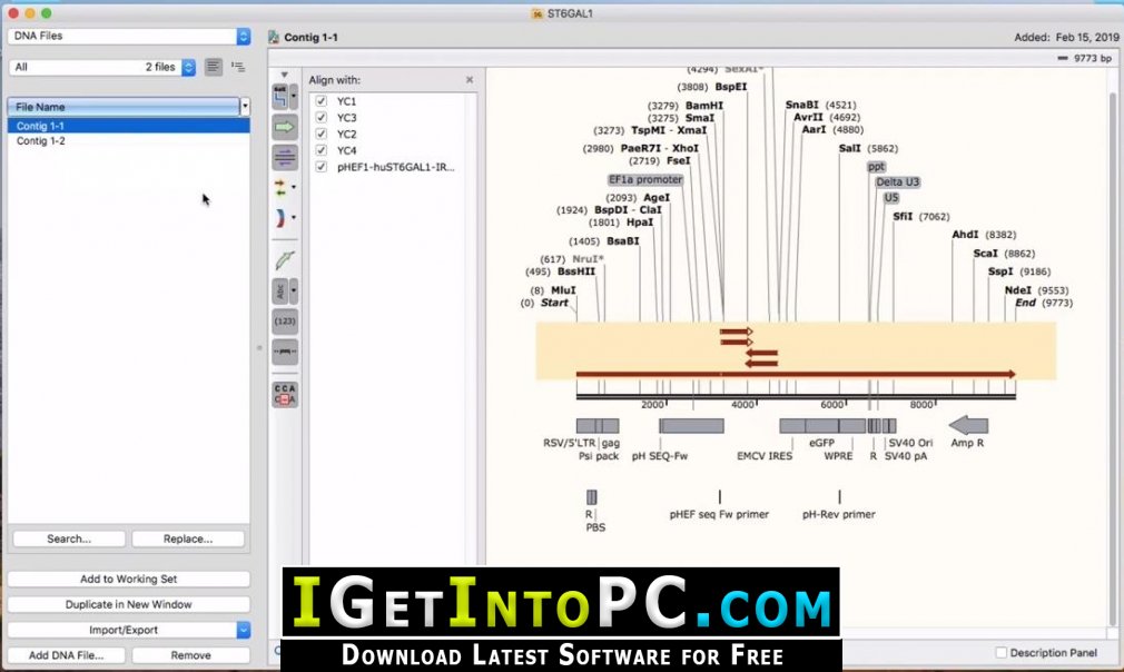 GSL Biotech SnapGene Free Download Windows and MacOS 3