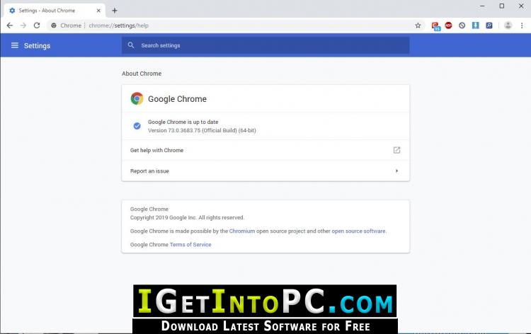 Google Chrome 73 Offline Installer Free Download 1