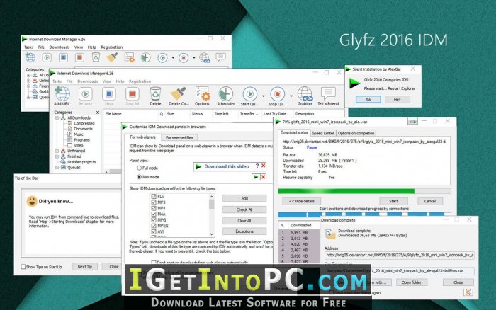 Internet Download Manager 6.31.3 IDM with Amazing Skin Free Download 3
