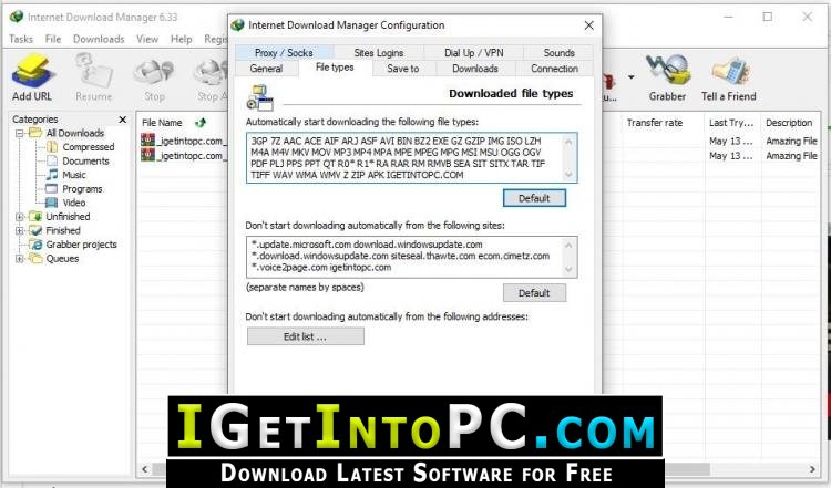 Internet Download Manager 6.33 Build 3 Retail IDM Free Download 4