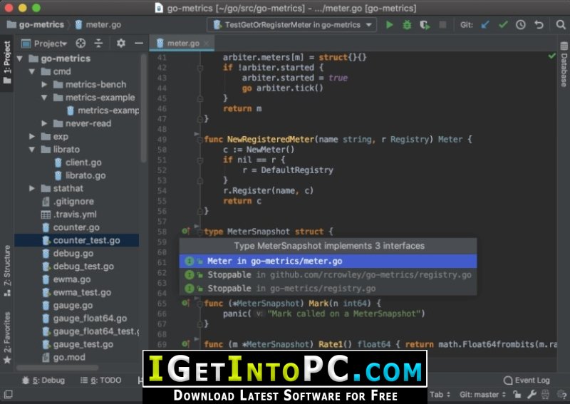 JetBrains GoLand 2021 Free Download 1 1
