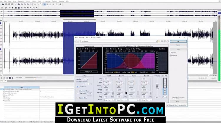 MAGIX Sound Forge Pro 12 Free Download 2