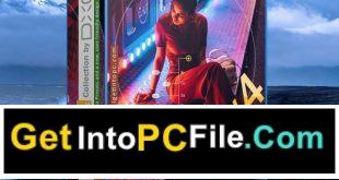 Nik Collection by DxO 4 Free Download Windows and macOS 1