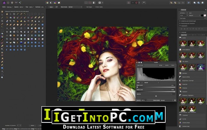 Serif Affinity Photo 1.8.0.585 Free Download 4