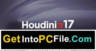 SideFX Houdini FX 17.5 1
