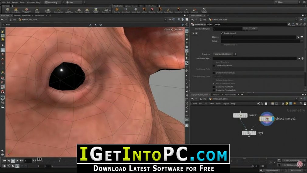 SideFX Houdini FX 17.5.391 Free Download 2