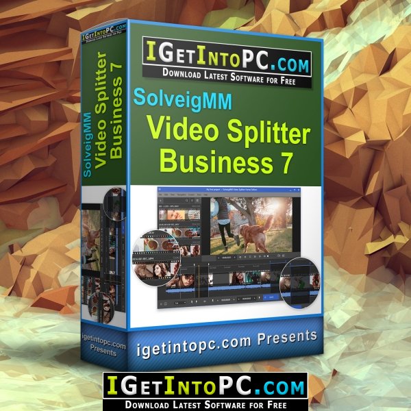 SolveigMM Video Splitter Business 7 Free Download 1