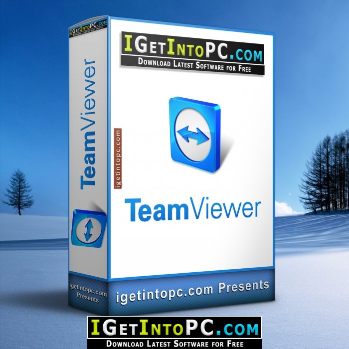 teamviewer download get into pc