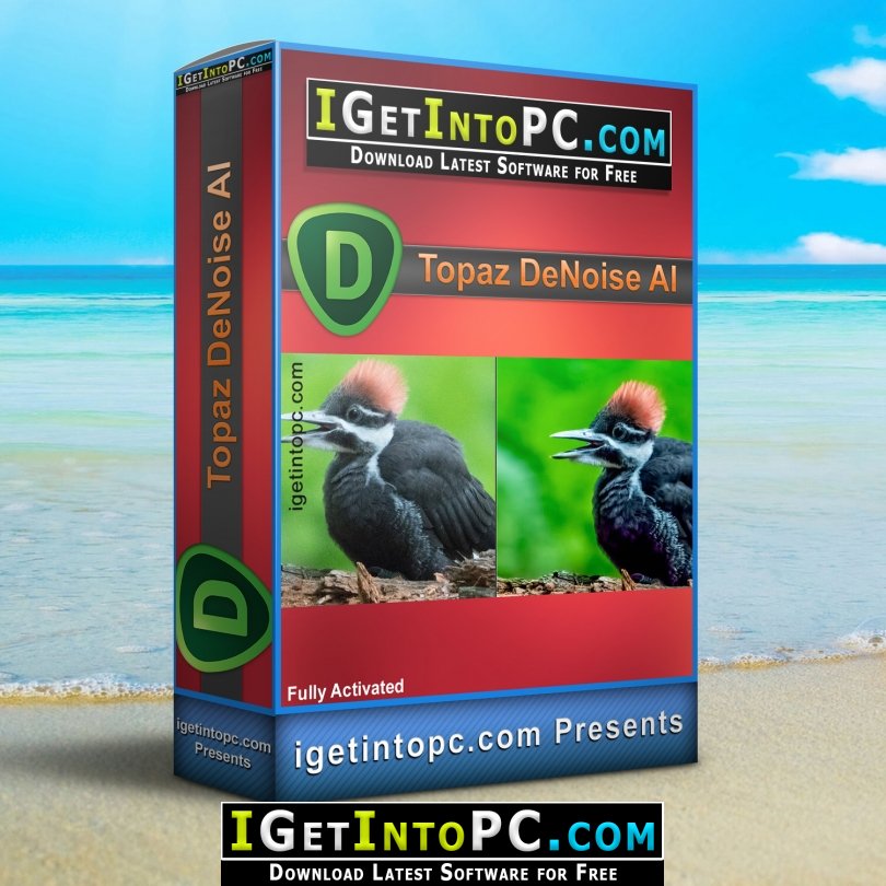 Topaz DeNoise AI 2 Free Download 1