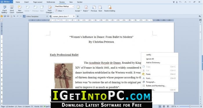 WPS Office 2016 Premium 10.2.0.7480 Free Download 3