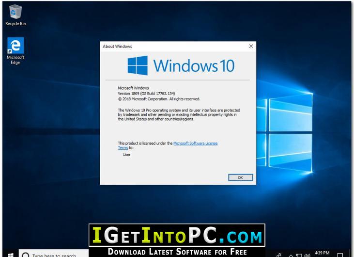 Windows 10 Pro RS5 with Office 2019 December 2018 Free Download 4