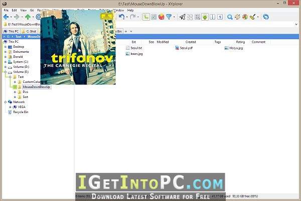 XYplorer 19.00.0200 Free Download 3