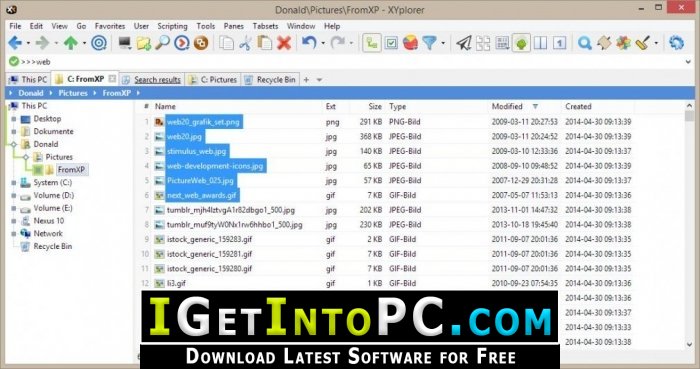 XYplorer Pro 20 Free Download 4